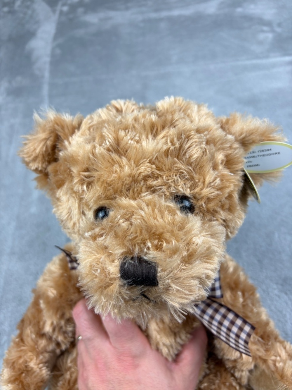 Bearington Theodore Teddy Bear Plush Soft Stuffed Animal 17 Inch BRAND NEW - Picture 4 of 12